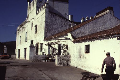 Ganaderia del Conde de la Corte, 1984