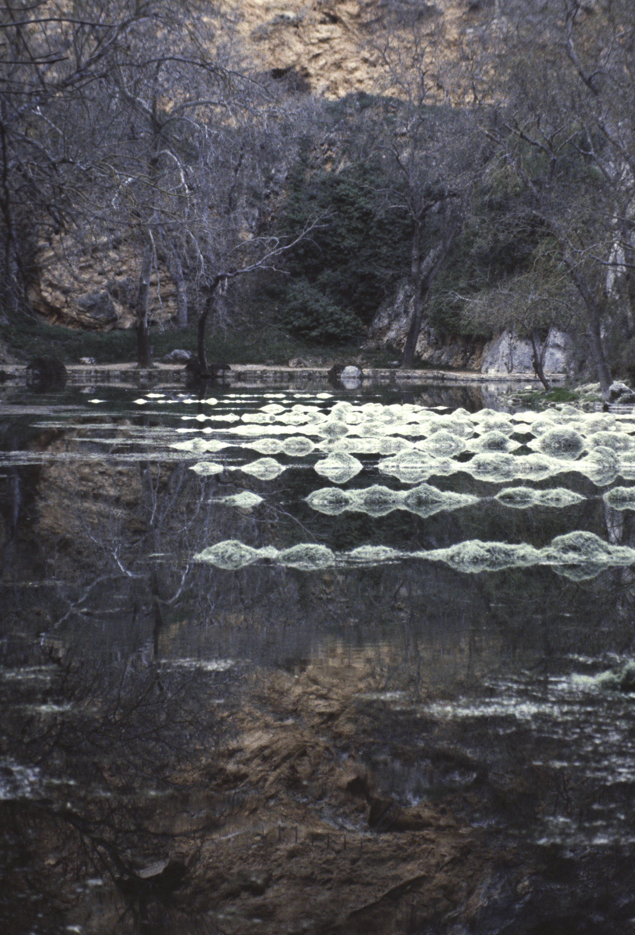 Im Park, Monasterio de la Piedra, 1984