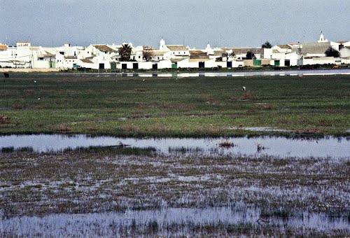 El Rocio in den Marismas 1986