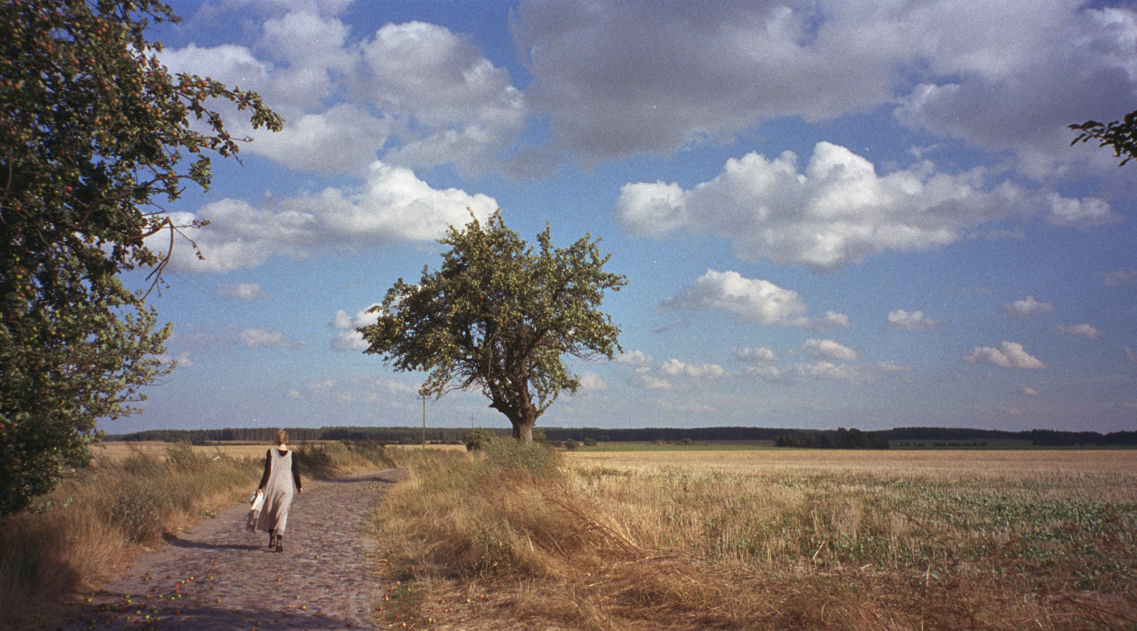 Bei Ojerzyce, 2007