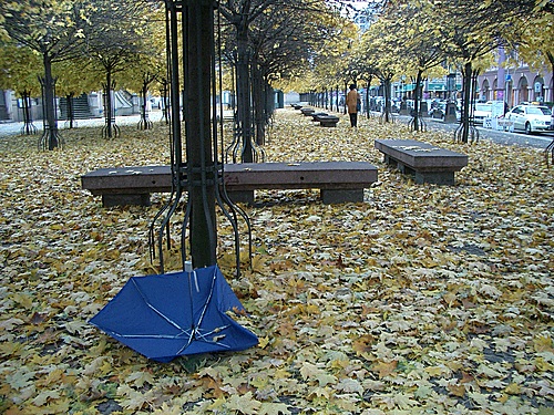 Herbst, Gendarmenmarkt, 2003