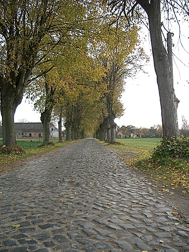 Allee vor Zansebuhr, 2003