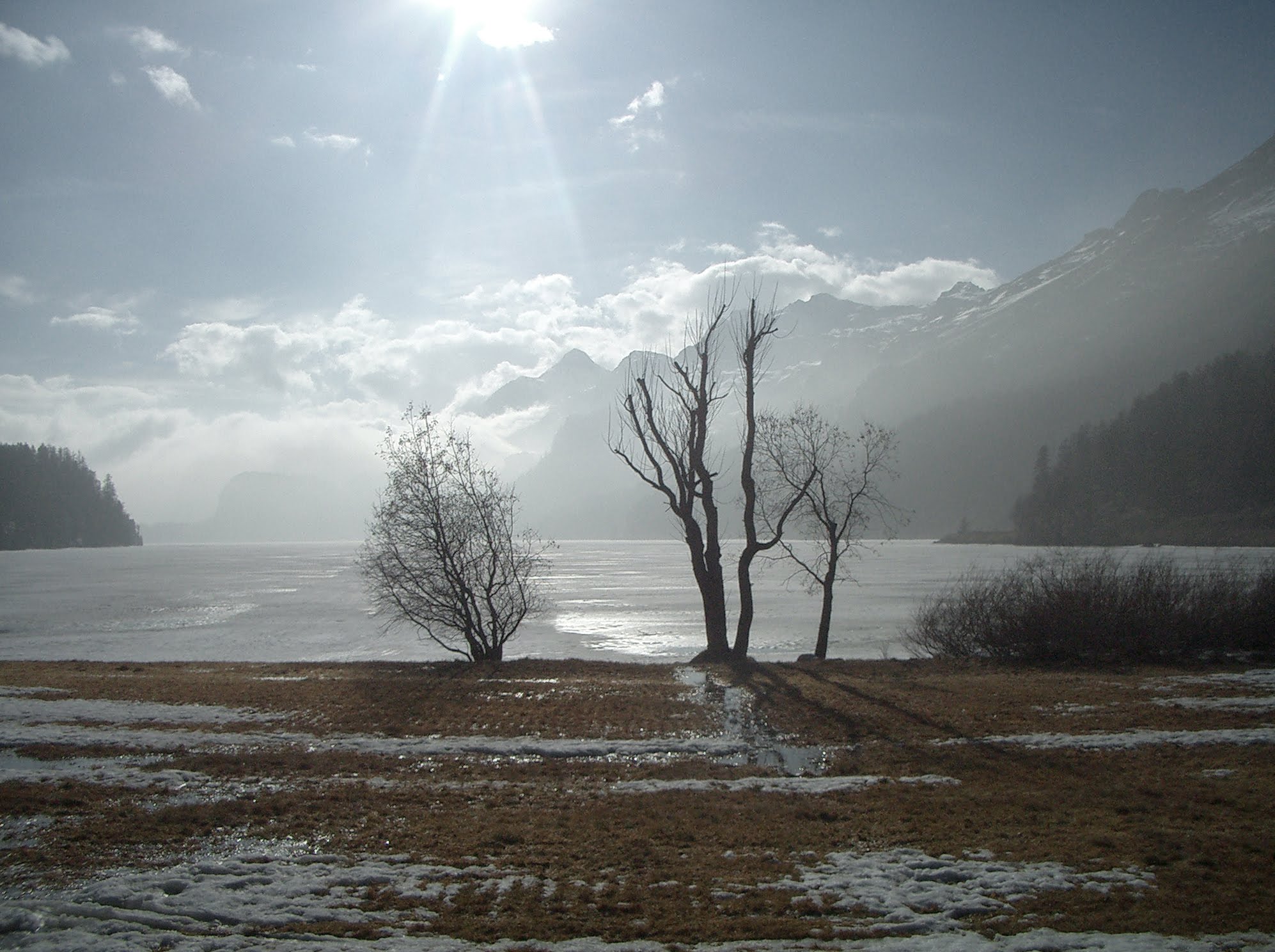 Am Silsersee, 2005