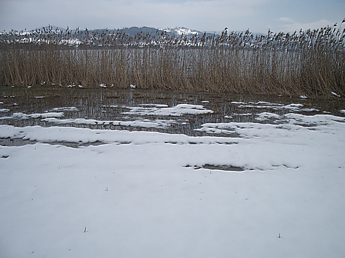 Am Pfffikersee, 2007