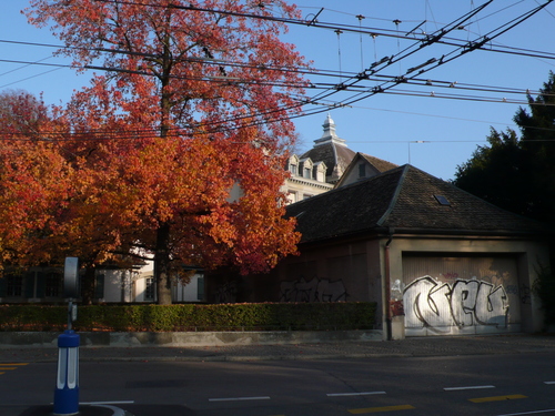 An der Haltestelle Neumarkt, 2007