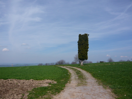 Auf dem Gubel bei Menzingen, 2008