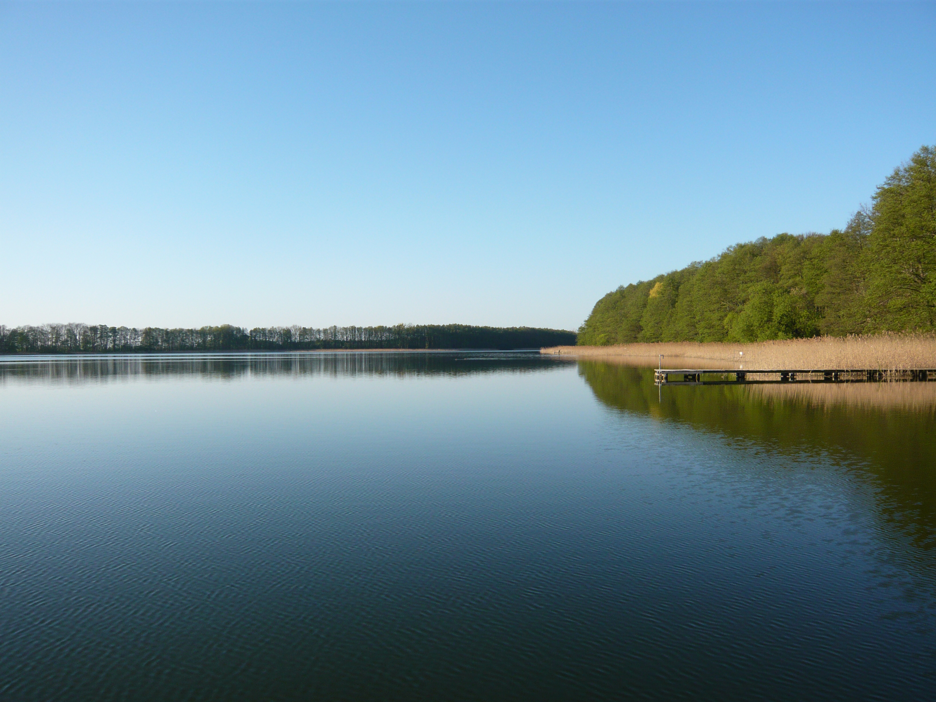 Steg bei Altfriedland, 2009