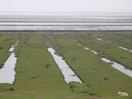 Blick vom Nordseedamm bei Dagebll nach Fhr, 201