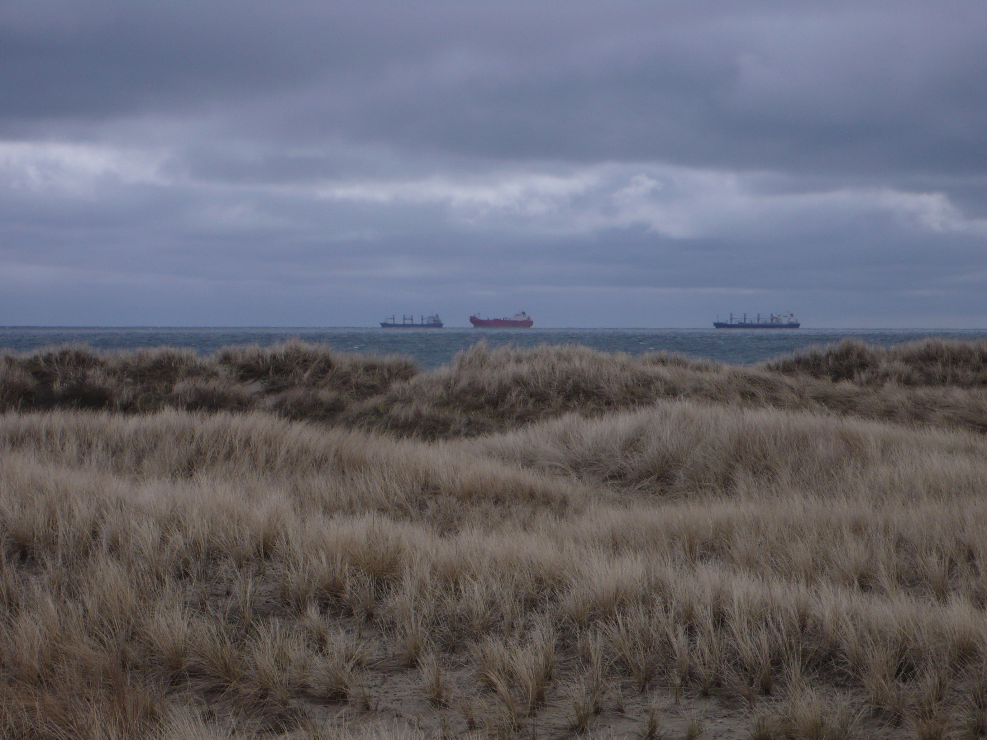 Blick von Grenen auf das Kattegat,2010